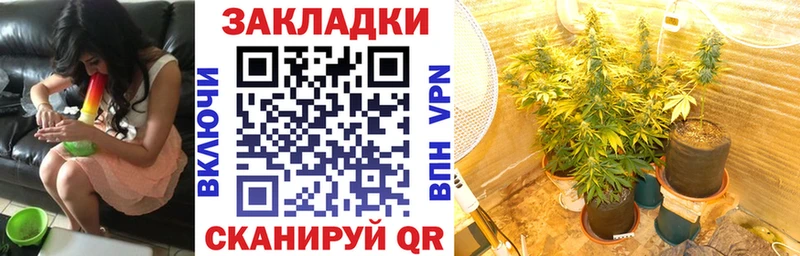 Псилоцибиновые грибы Ялта