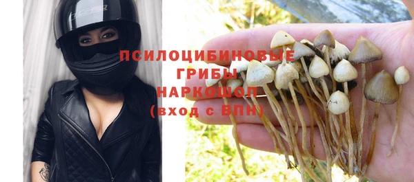 гидра Нея
