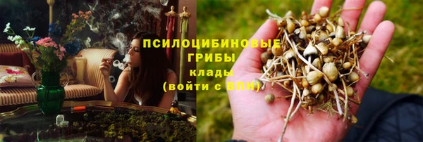 a pvp Михайлов