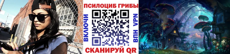 цена   Ялта  Псилоцибиновые грибы Psilocybe 